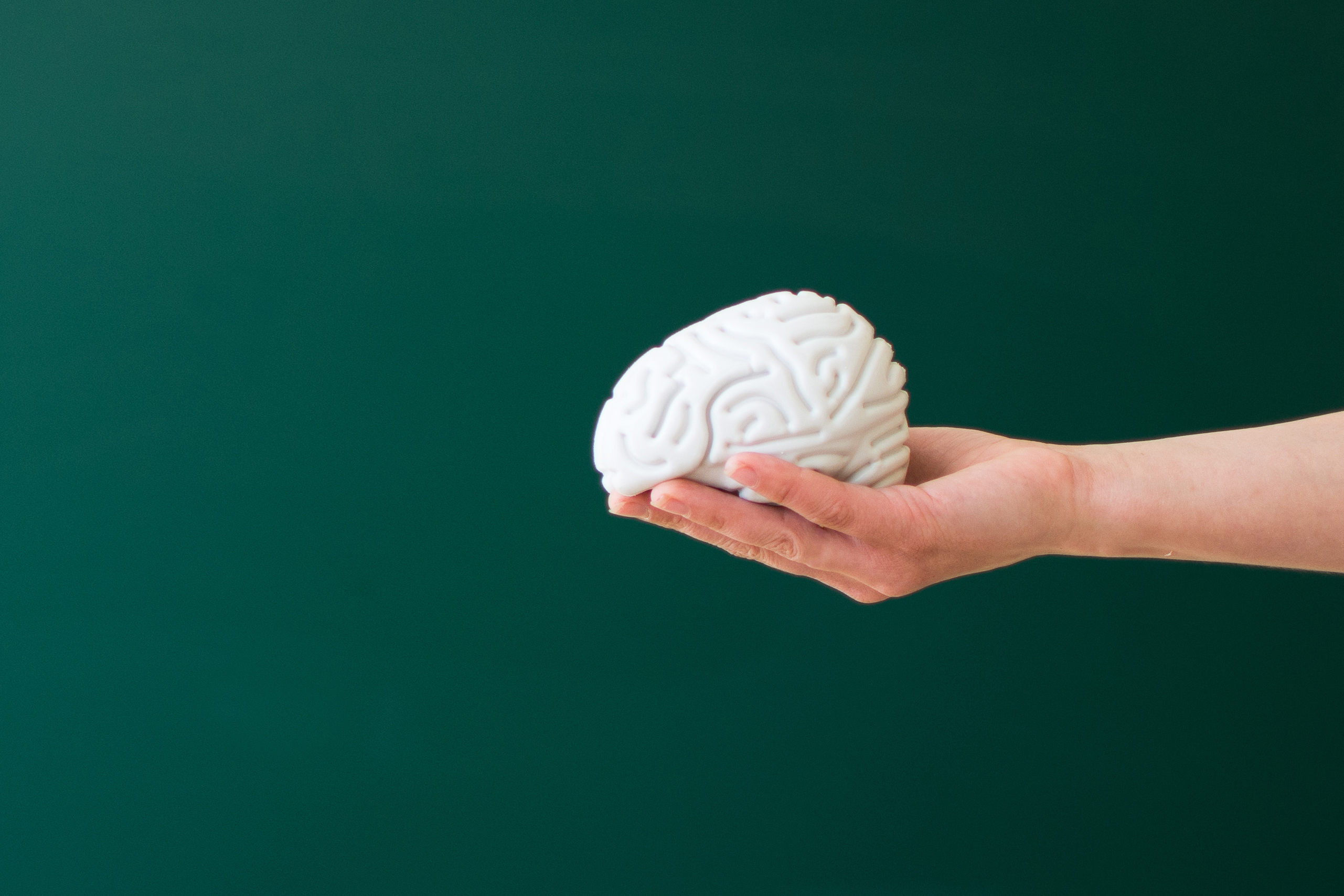 Warm, community-focused mental health practice